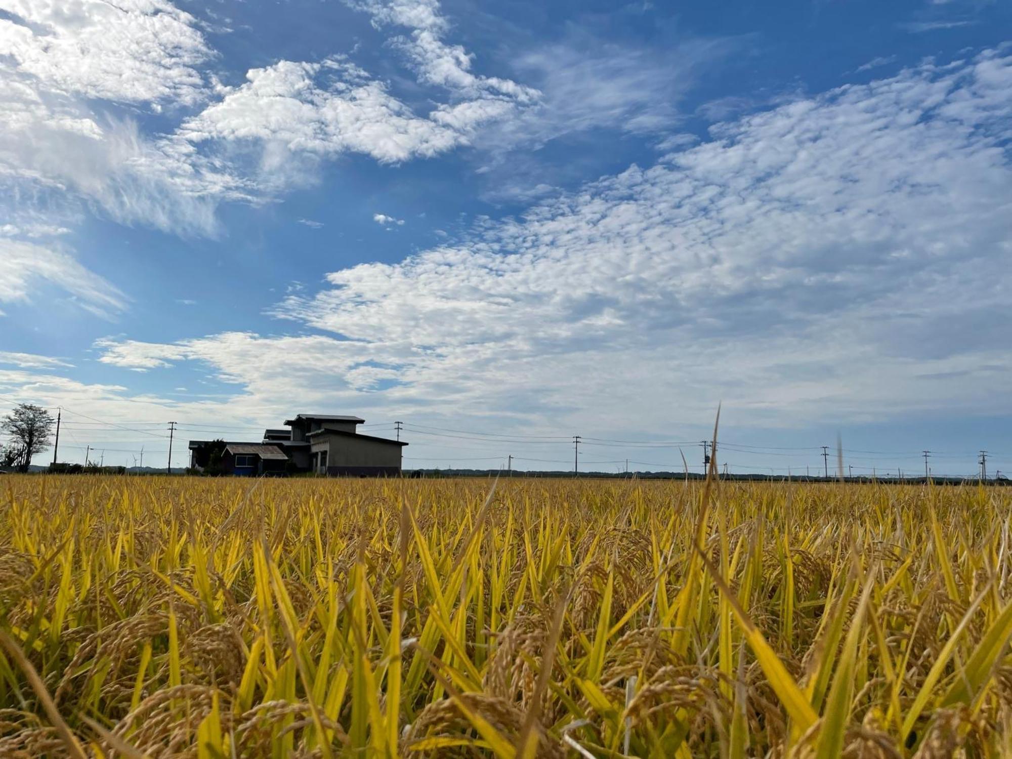 Tanonagano Yadokko - Vacation Stay 46285V Goshogawara Exteriér fotografie